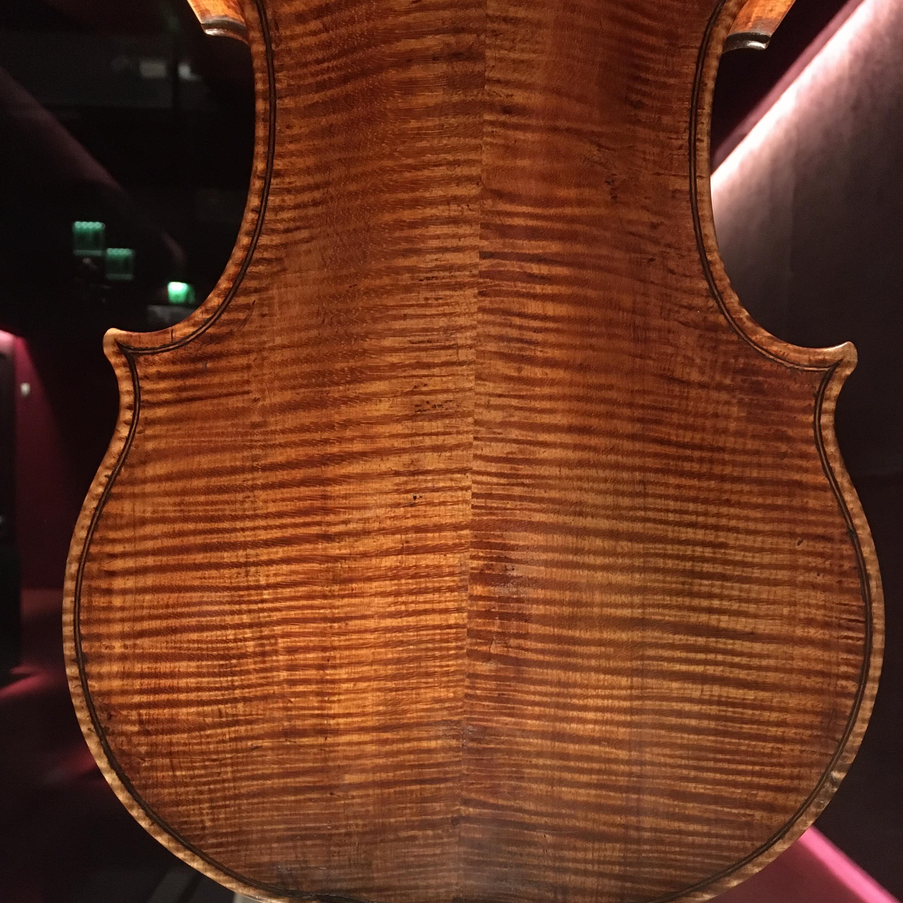 Historical Violin Back